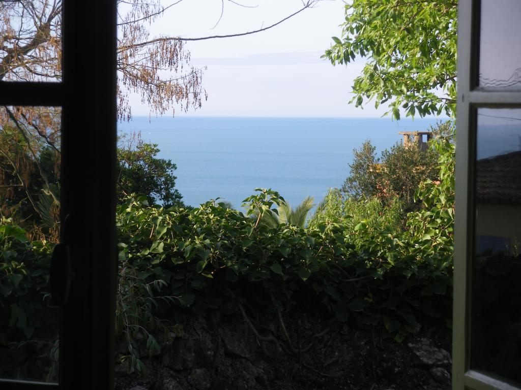 Mira Ceti Yurt Panzió Sète Kültér fotó